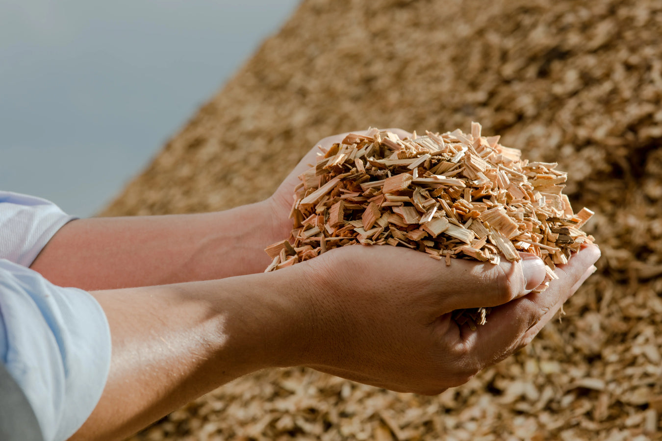 Biomass Processing